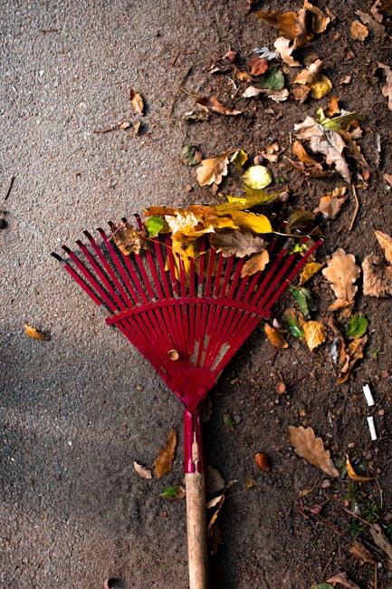 A red plastic garden rake with a wooden handle lies on a paved surface next to a patch of soil and fallen autumn leaves. The rake's tines are slightly curved and partially buried in the leaves, which 