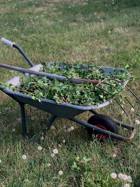 A red plastic garden rake with a wooden handle lies on a paved surface next to a patch of soil and fallen autumn leaves. The rake's tines are slightly curved and partially buried in the leaves, which 